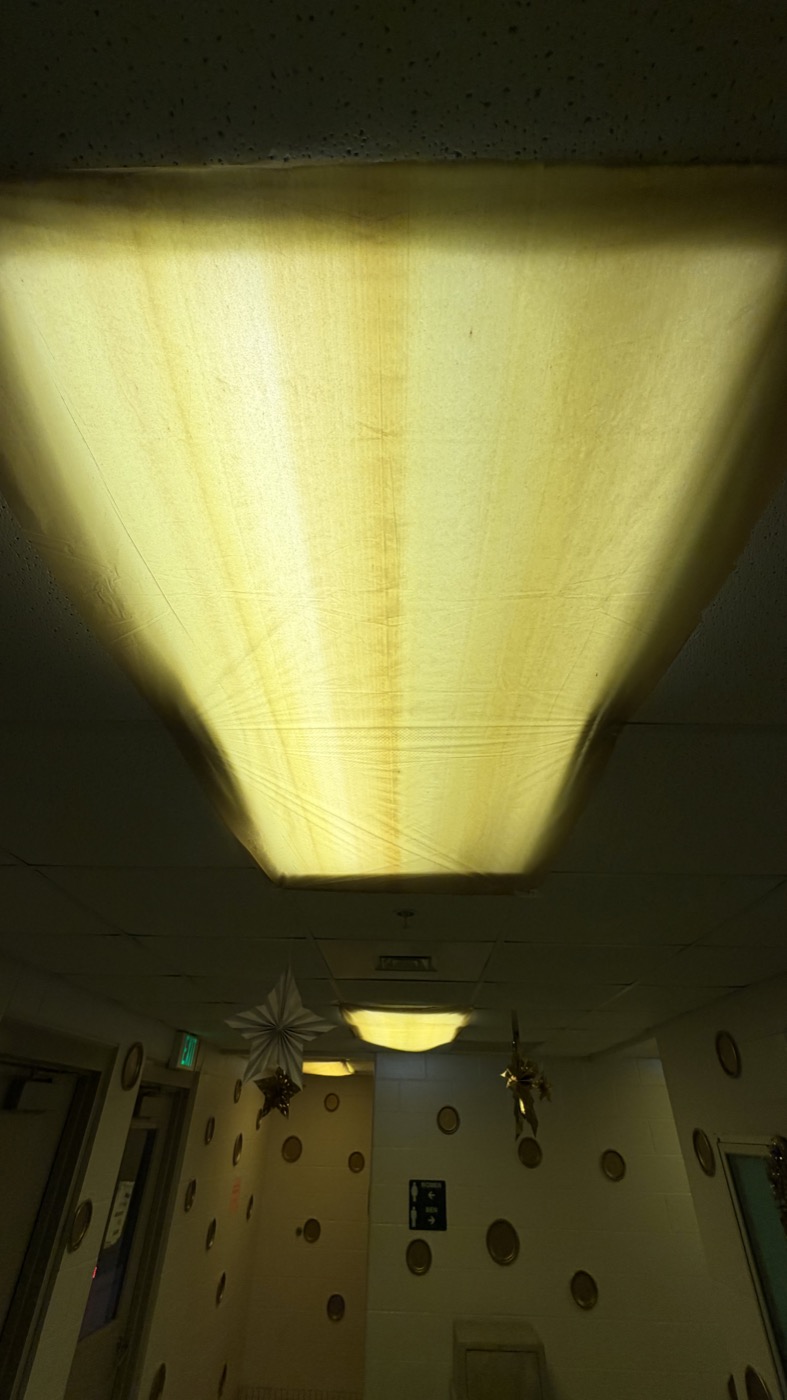 Looking up at the glowing ceiling installation
