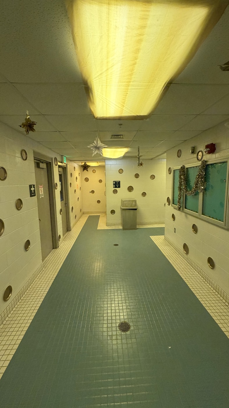 Full hallway view with gold circle decorations